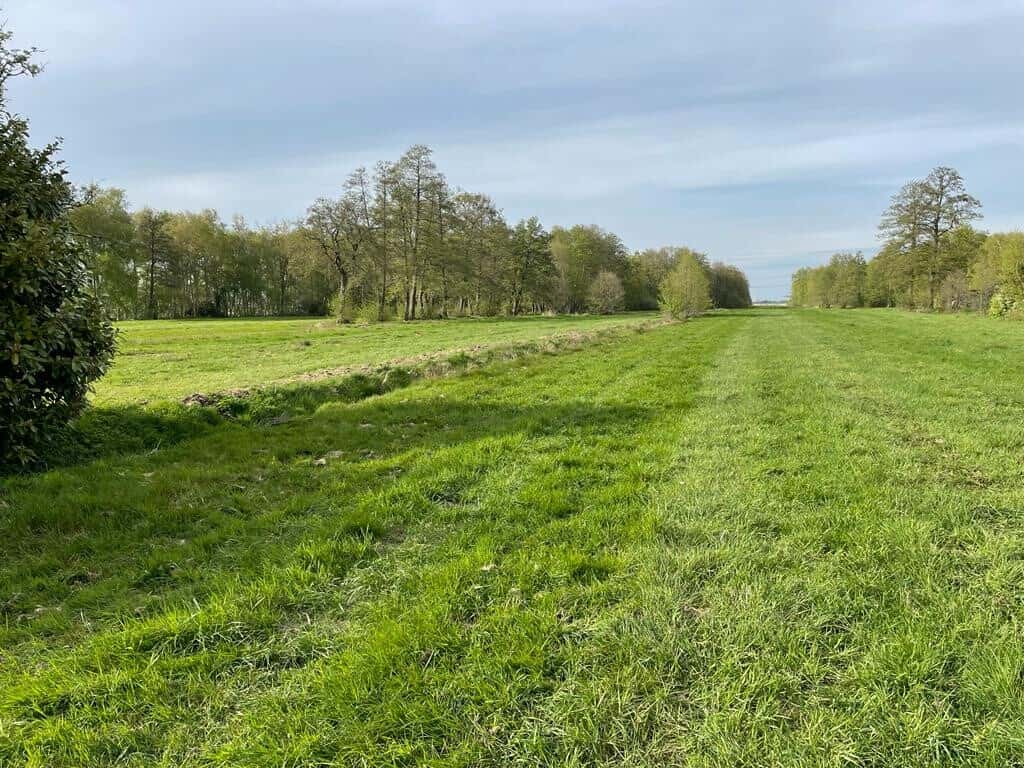 Wohngrundstück in Buxtehude – Bild 1