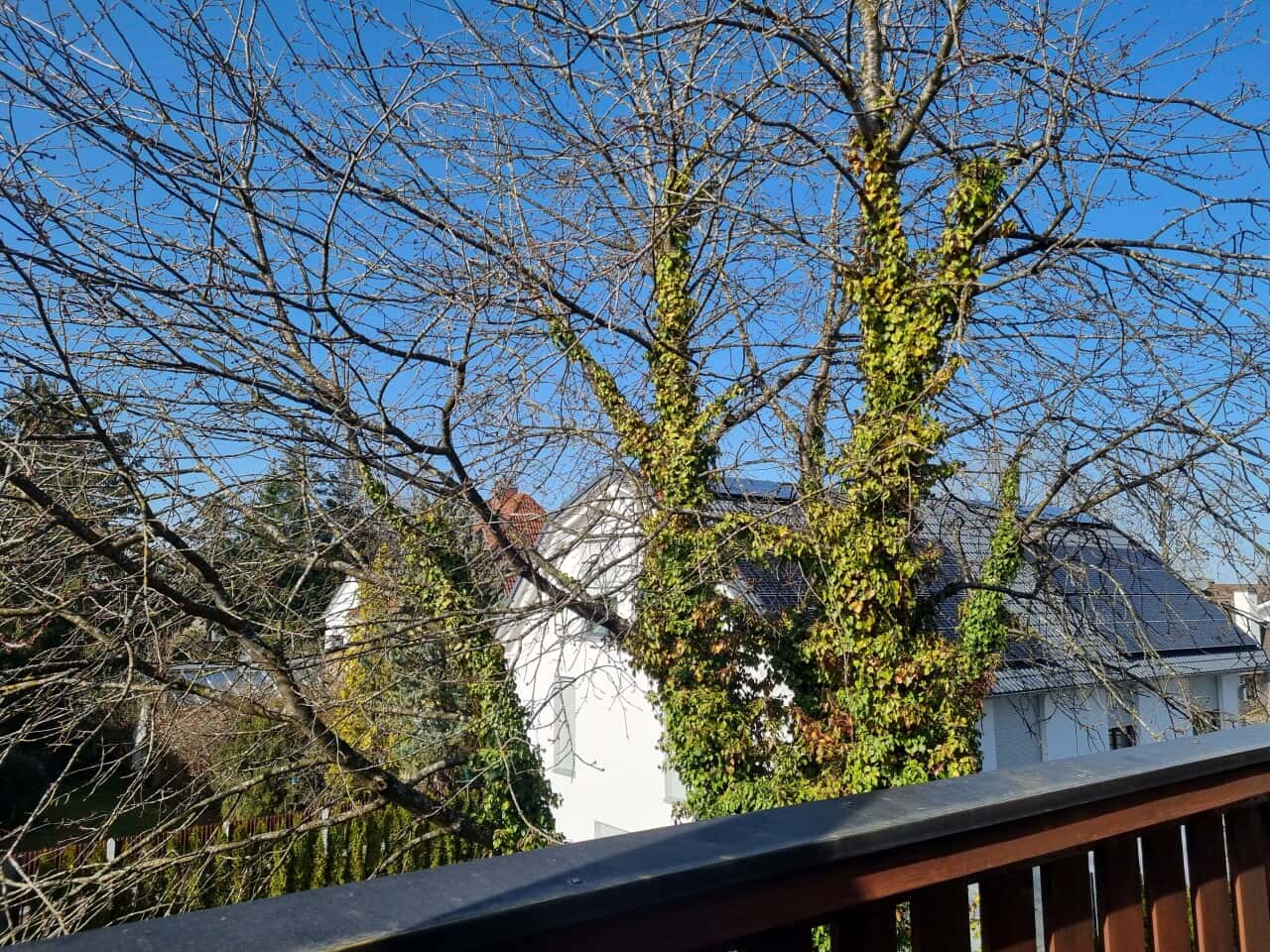 Dachgeschosswohnung in München – Bild 3