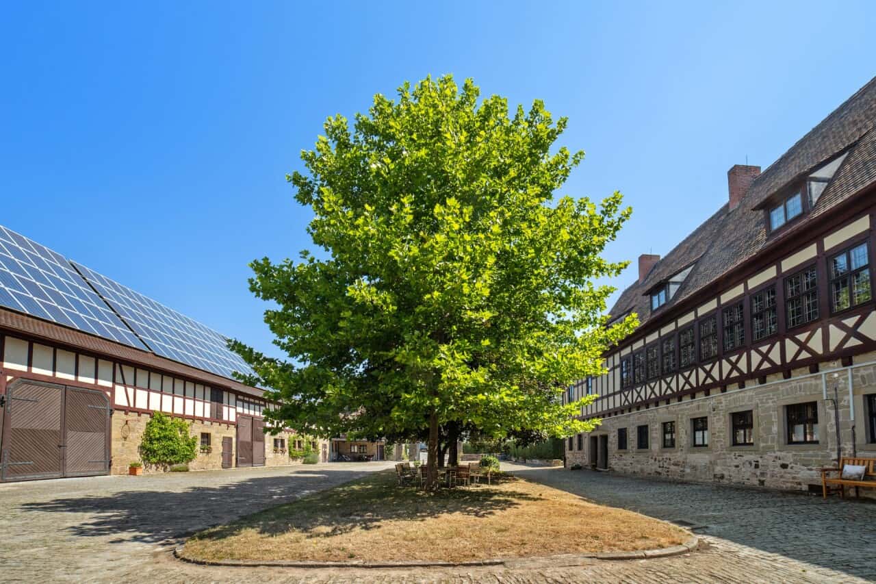Schloss in Neustadt an der Aisch – Bild 3