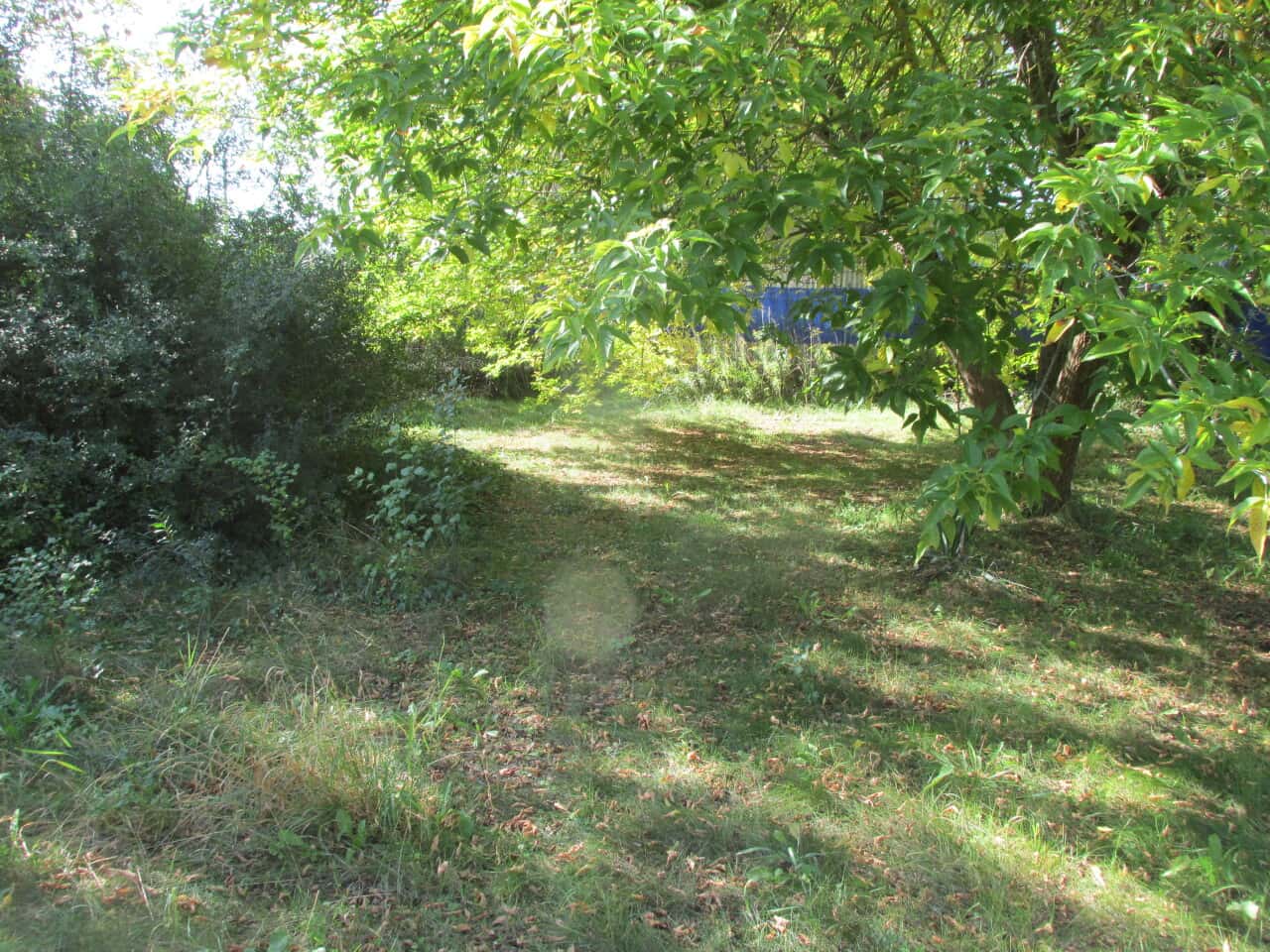 Wohngrundstück in Luckenwalde – Bild 1