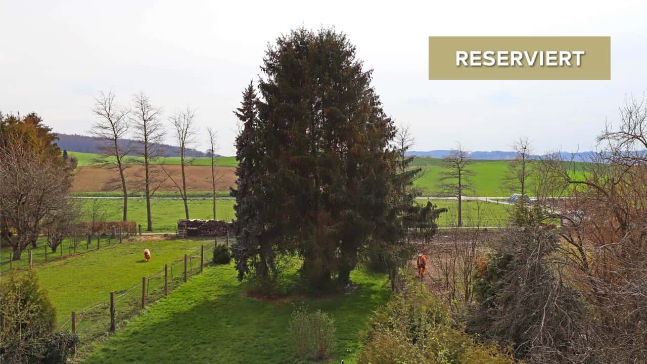 Einfamilienhaus in Ober-Ramstadt OT Rohrbach – Bild 1
