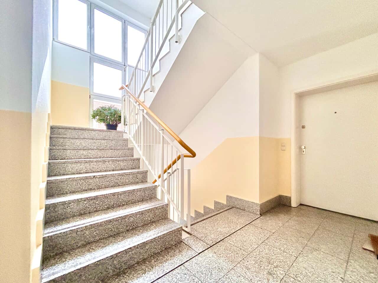 Etagenwohnung in Dresden – Bild 5