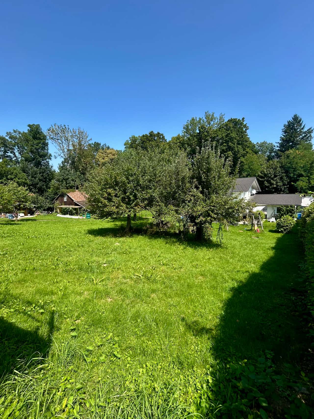 Wohngrundstück in Laufen – Bild 3