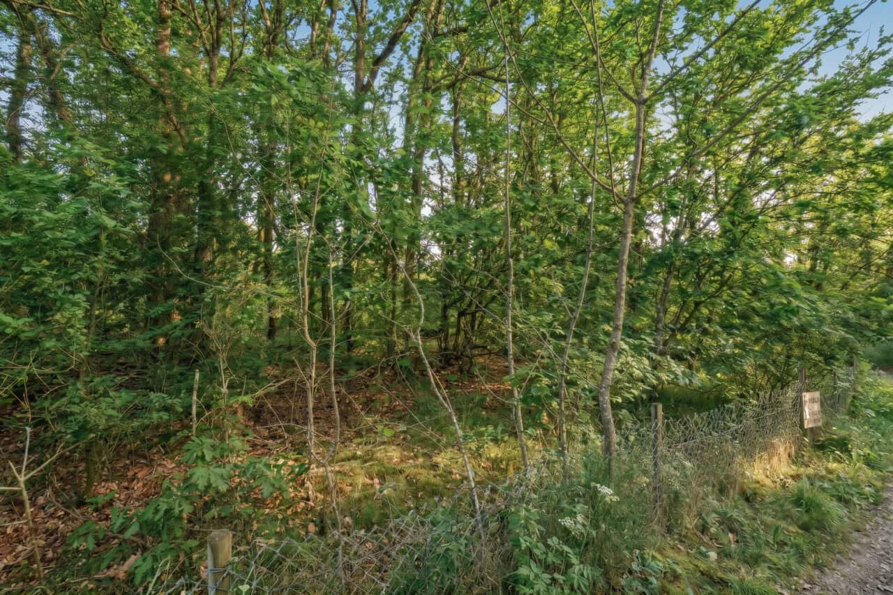 Wohngrundstück in Langgöns – Bild 2