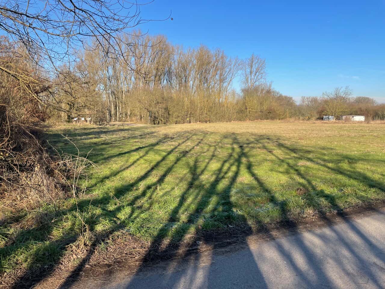 Bauernhof in Budenheim – Bild 3
