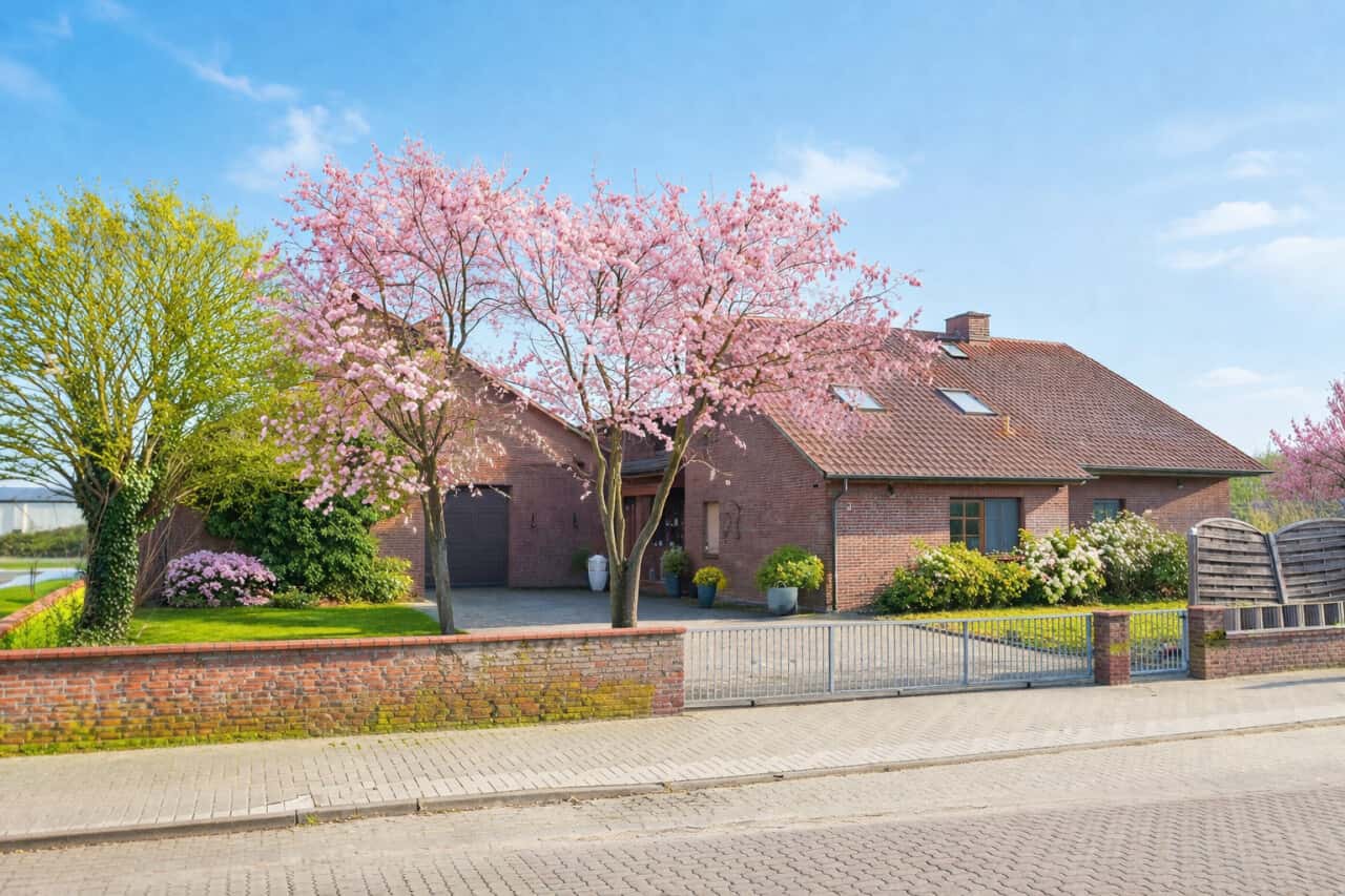 Einfamilienhaus in Wustrow – Bild 1