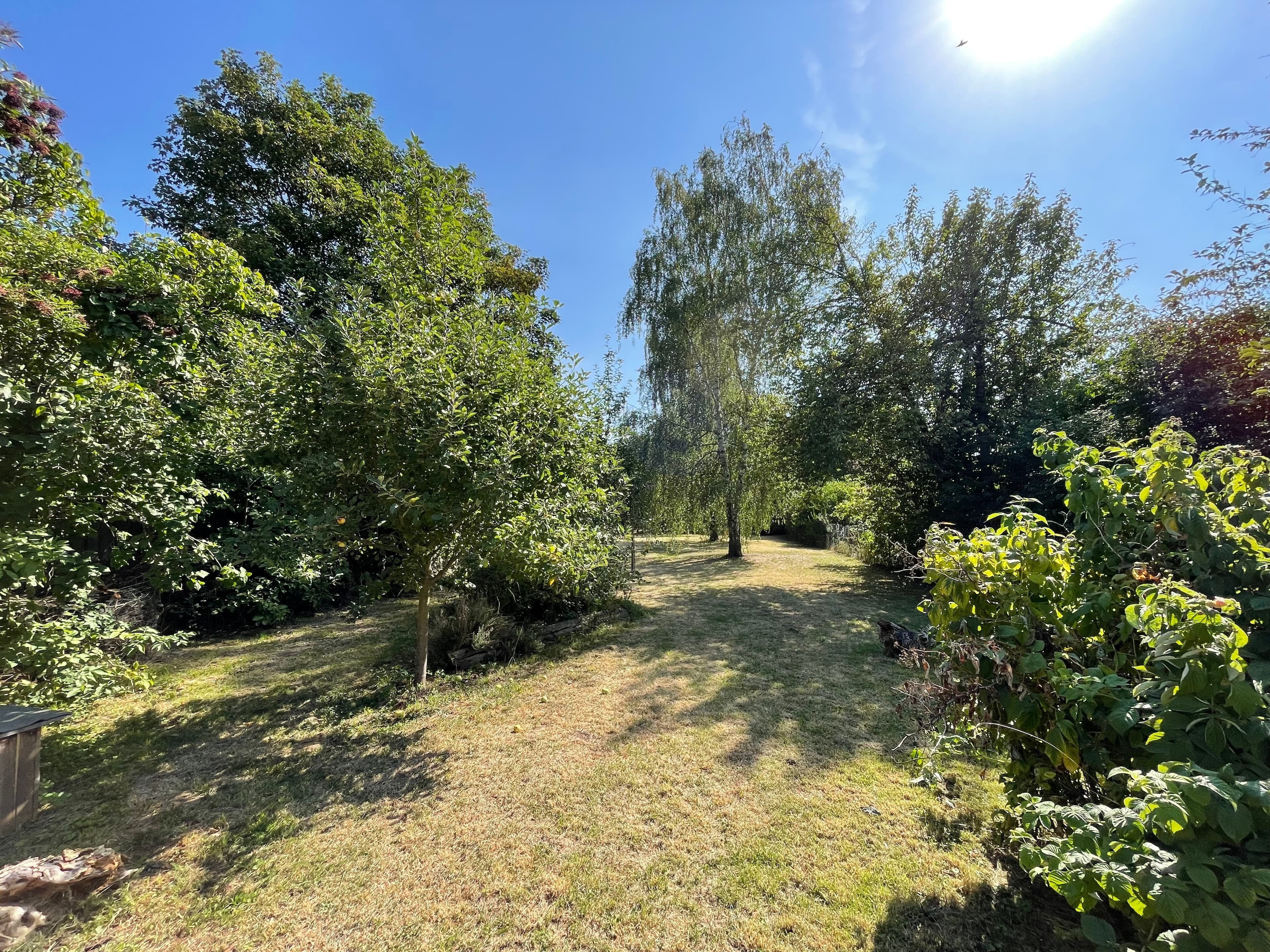 Haus in Elsteraue – Bild 14