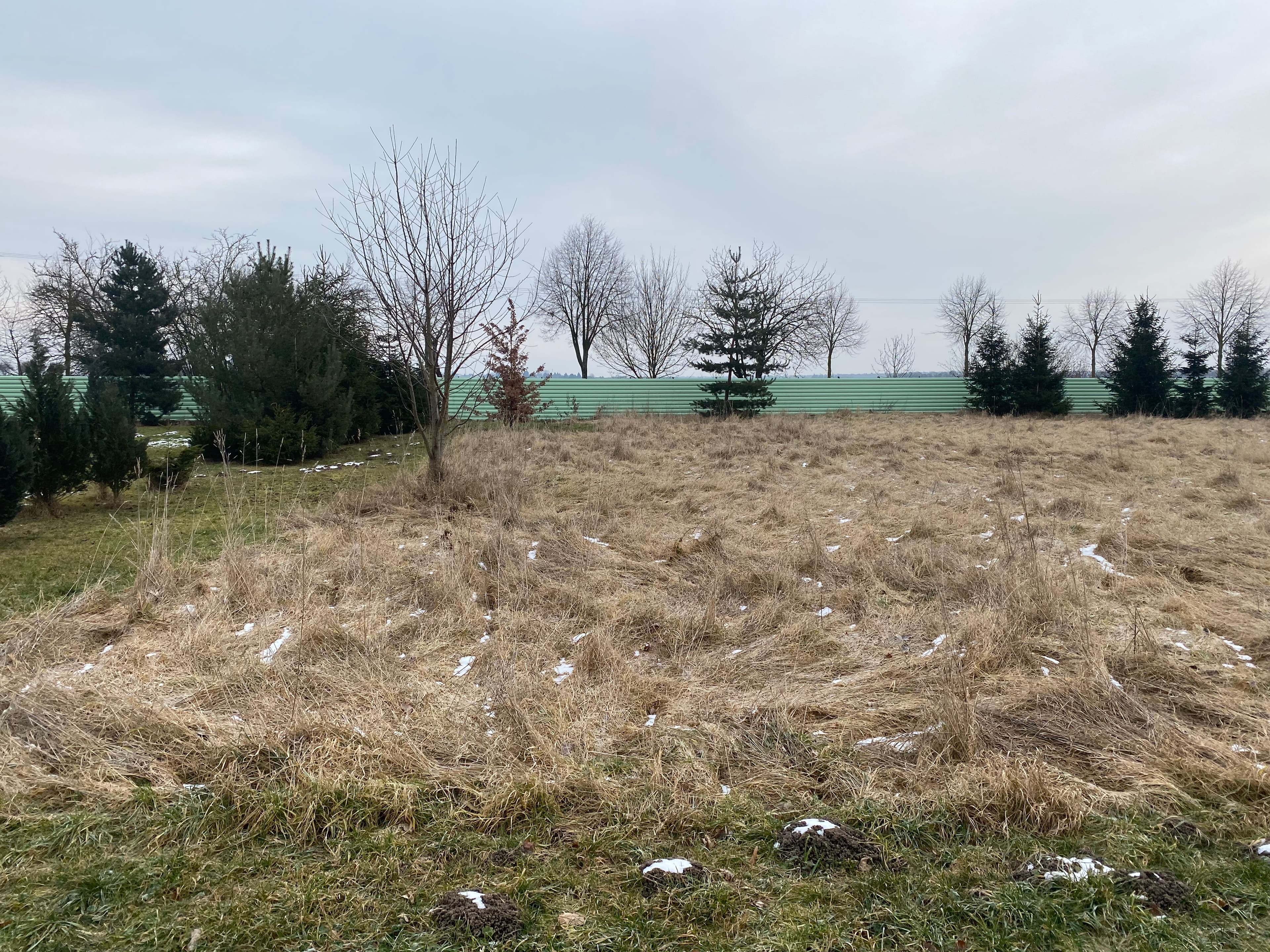 Grundstück in Sandersdorf-Brehna – Bild 2
