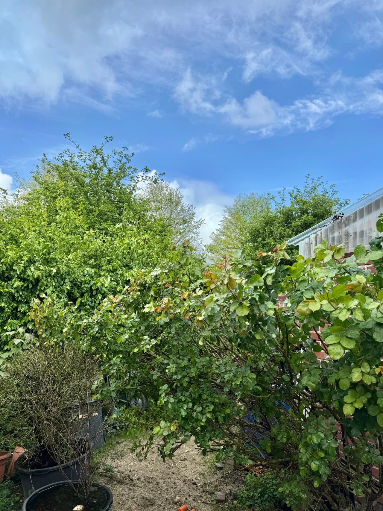 Doppelhaushälfte in Heinsberg – Bild 27