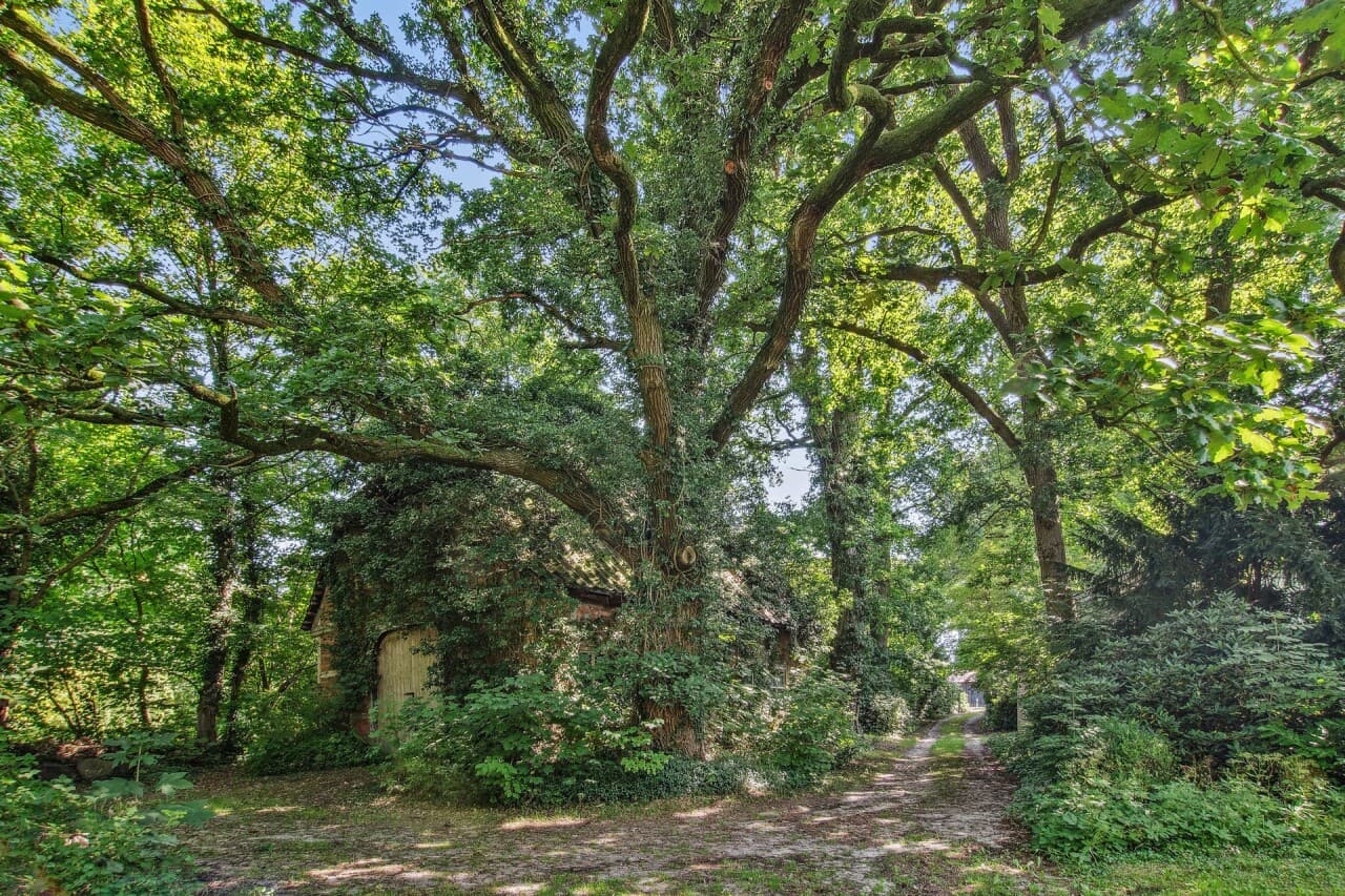 Einfamilienhaus in Westerholz – Bild 25