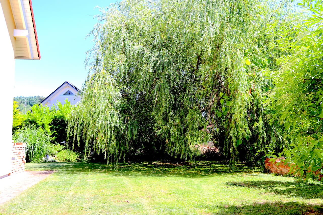 Einfamilienhaus in Wörth an der Donau – Bild 4