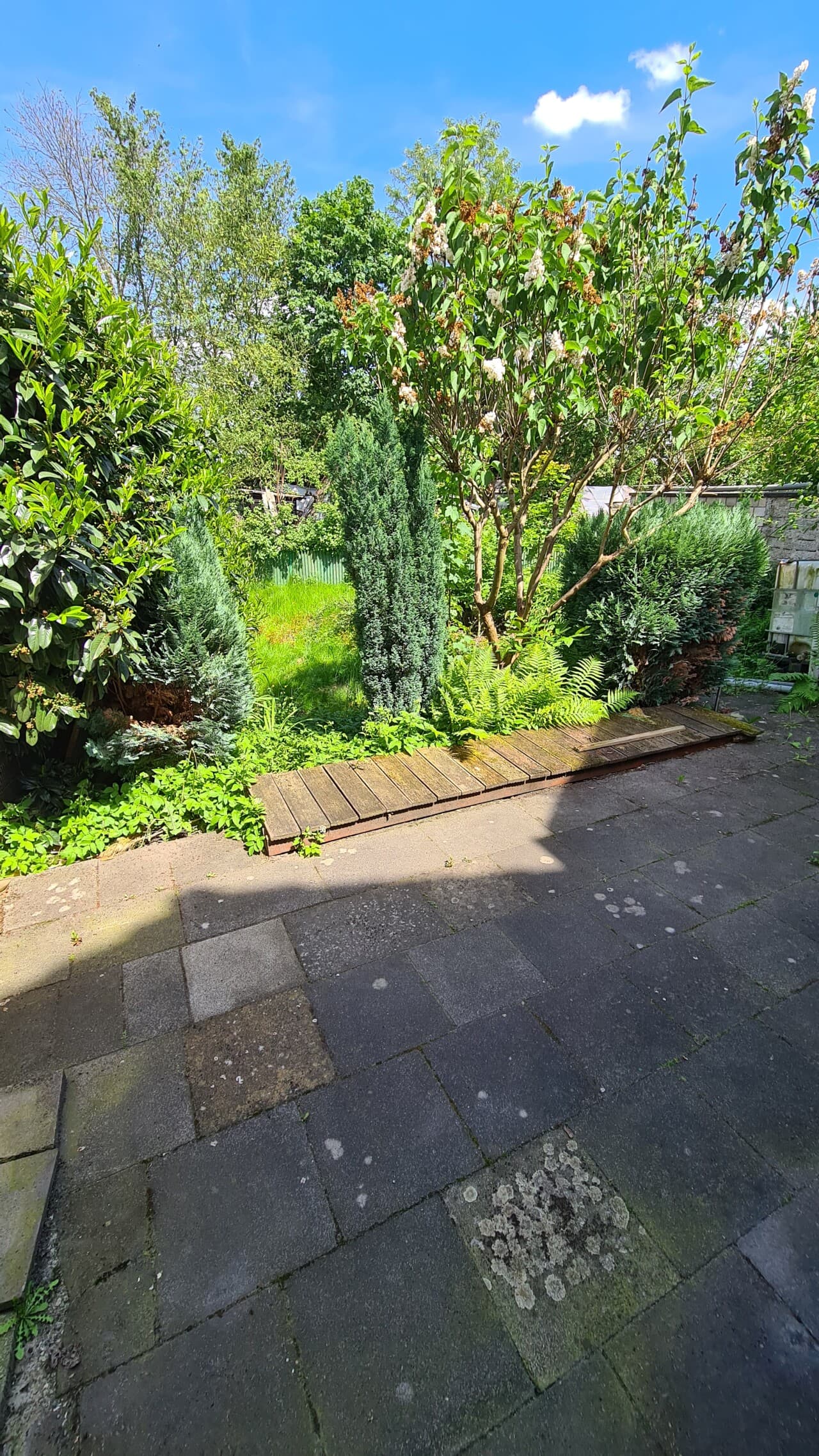 Einfamilienhaus in Wesseling – Bild 5