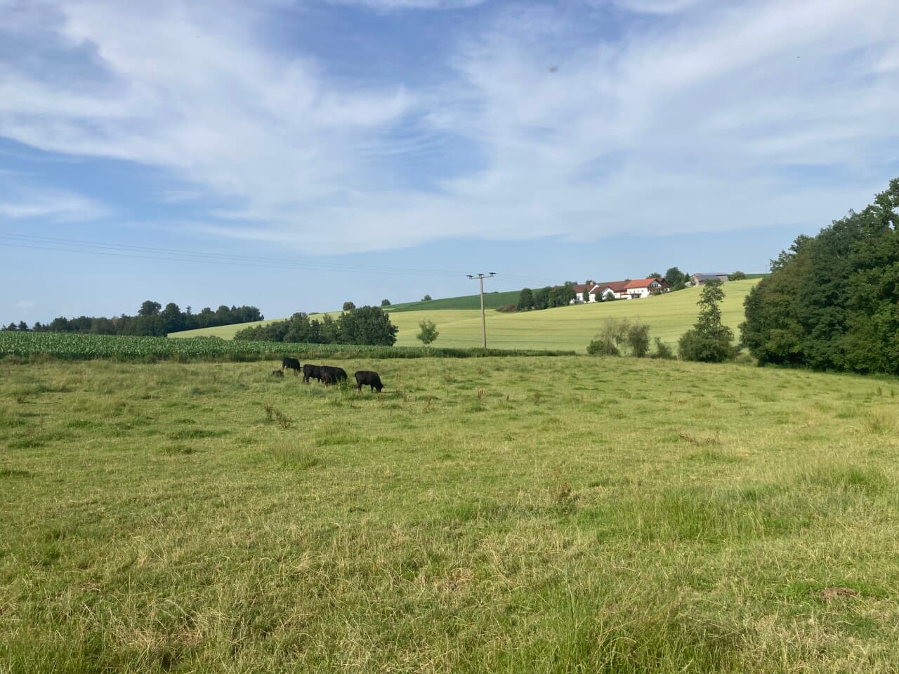 Bauernhaus in Beutelsbach – Bild 10