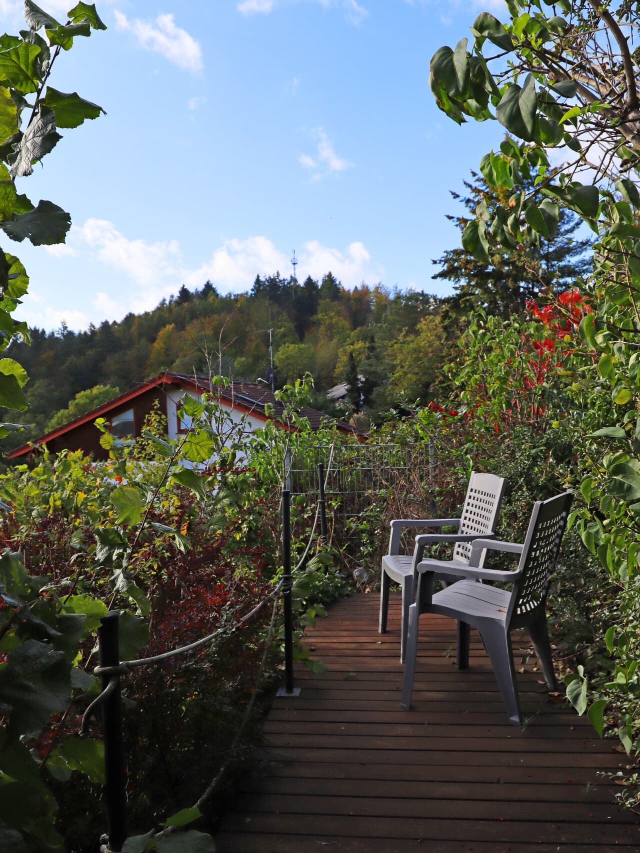 Mehrfamilienhaus in Fischbachtal – Bild 28