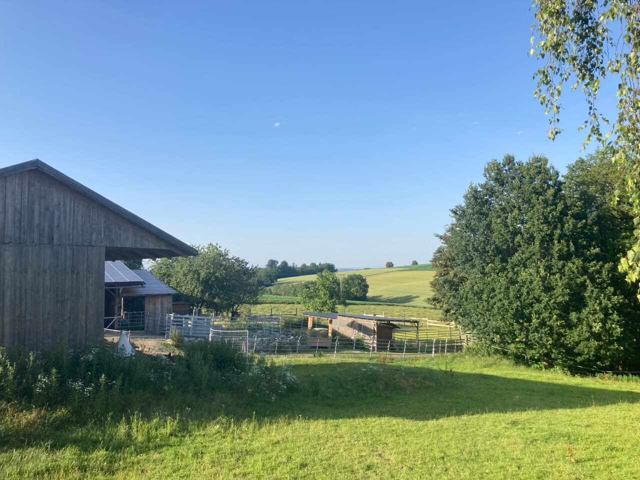 Bauernhaus in Beutelsbach – Bild 5