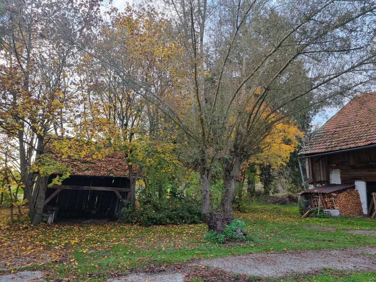 Bauernhaus in Rimbach – Bild 5