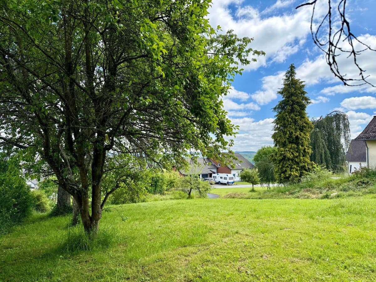 Einfamilienhaus in Hoffeld – Bild 7