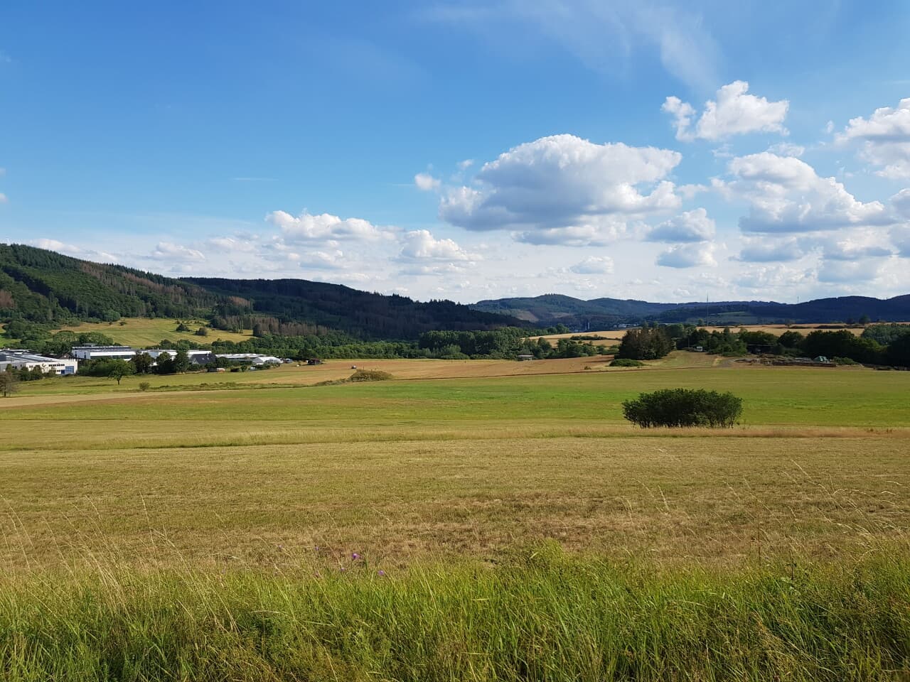 Einfamilienhaus in Biedenkopf - Breidenstein – Bild 11