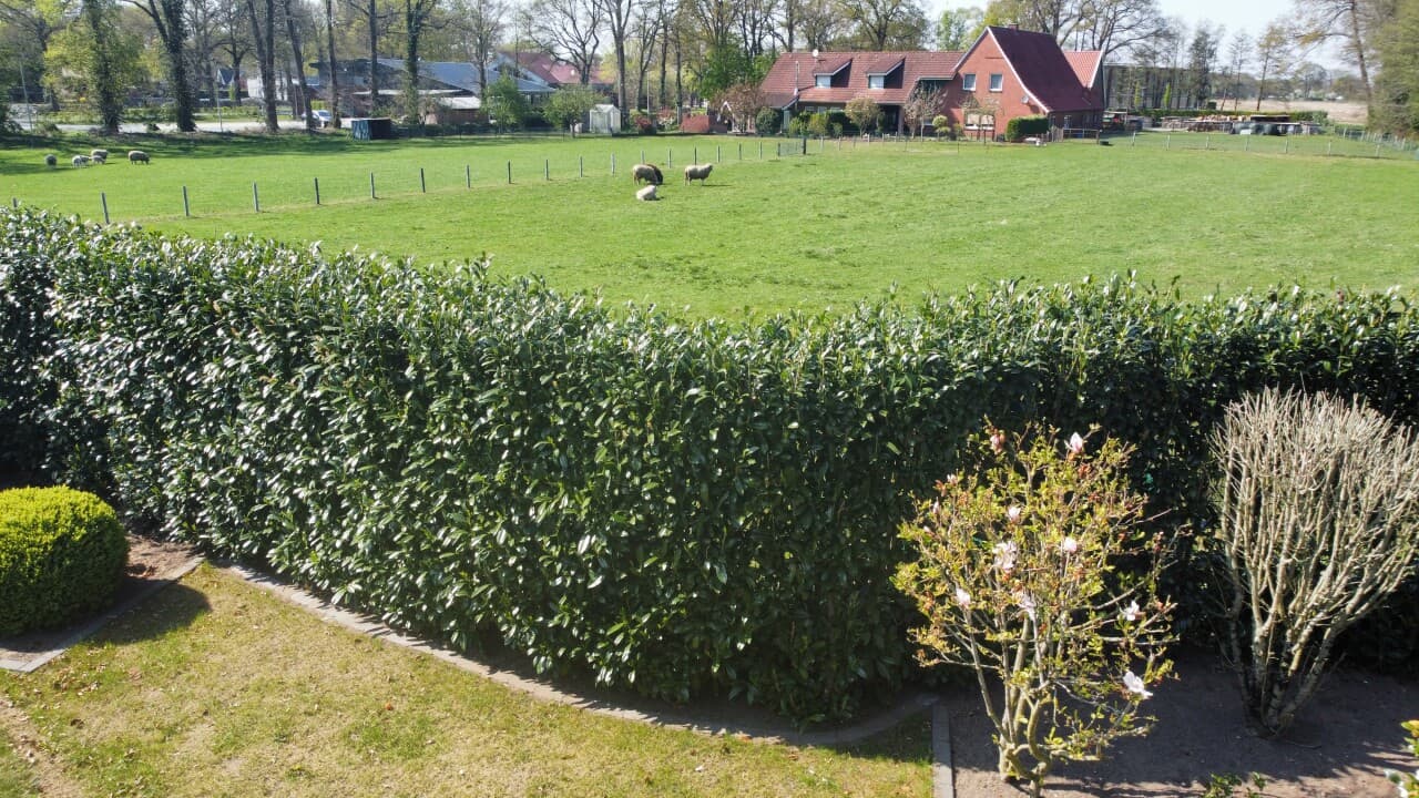 Etagenwohnung in Wilsum – Bild 15