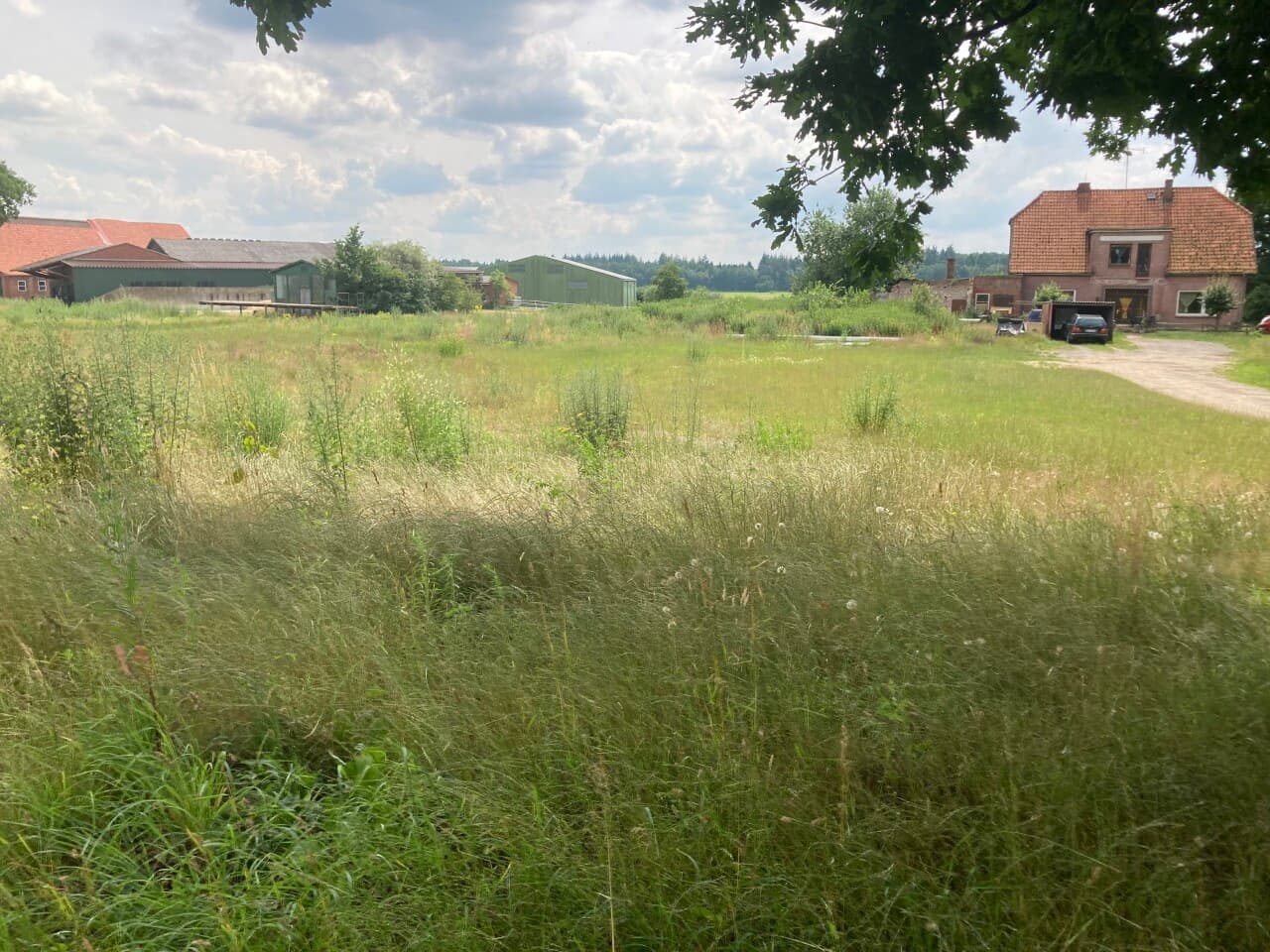 Wohngrundstück in Vierden – Bild 3
