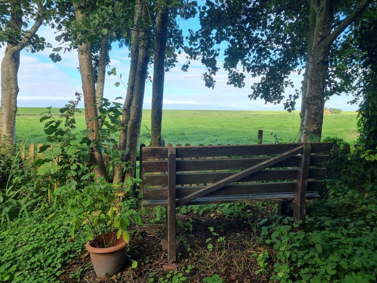 Doppelhaushälfte in Butjadingen Langwarden – Bild 3