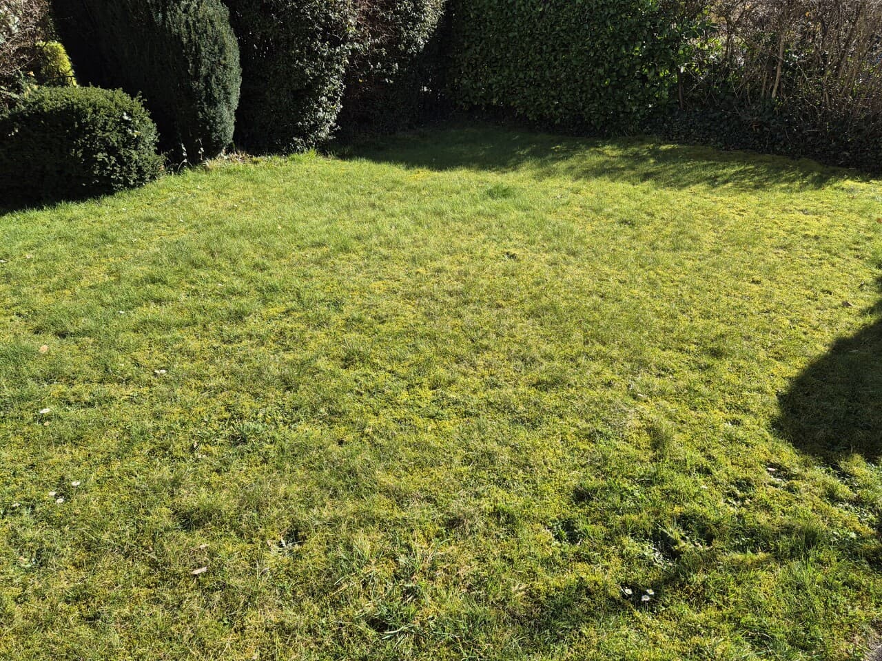 Mehrfamilienhaus in Frechen – Bild 5