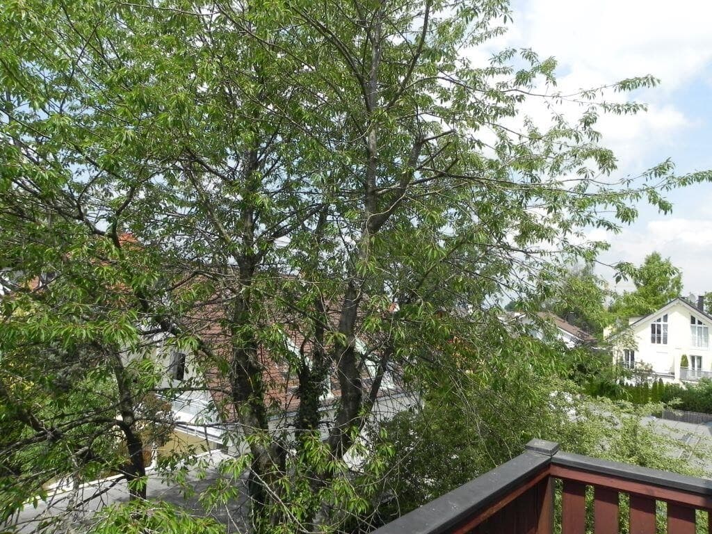 Dachgeschosswohnung in München – Bild 4