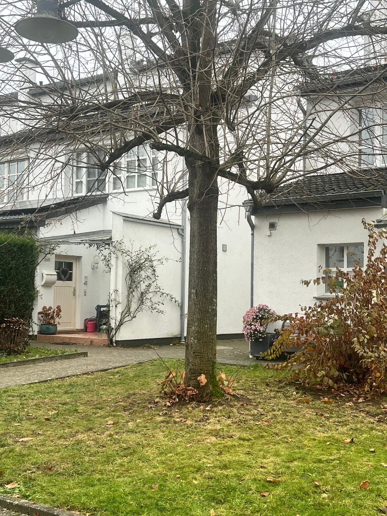 Reihenmittelhaus in Reichelsheim – Bild 18