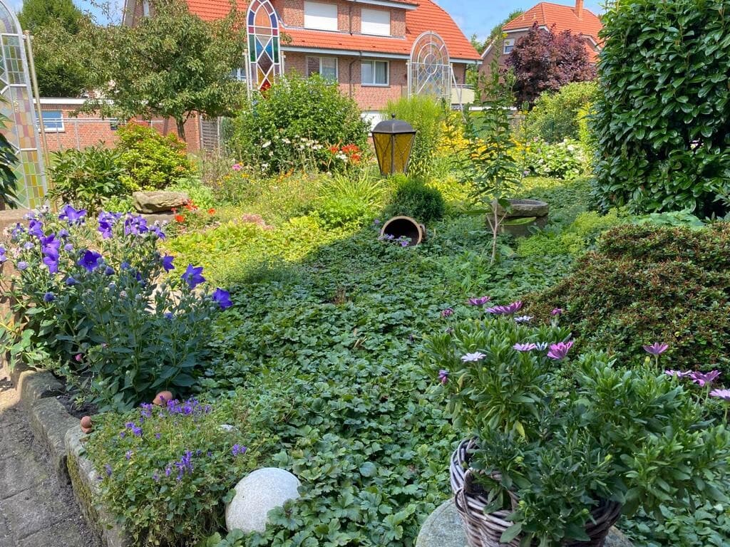 Einfamilienhaus in Bad Bentheim – Bild 27
