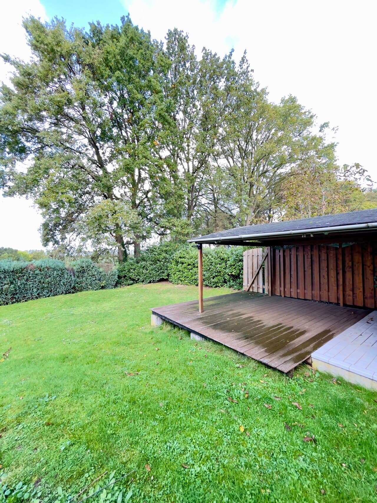 Bungalow in Selfkant – Bild 21