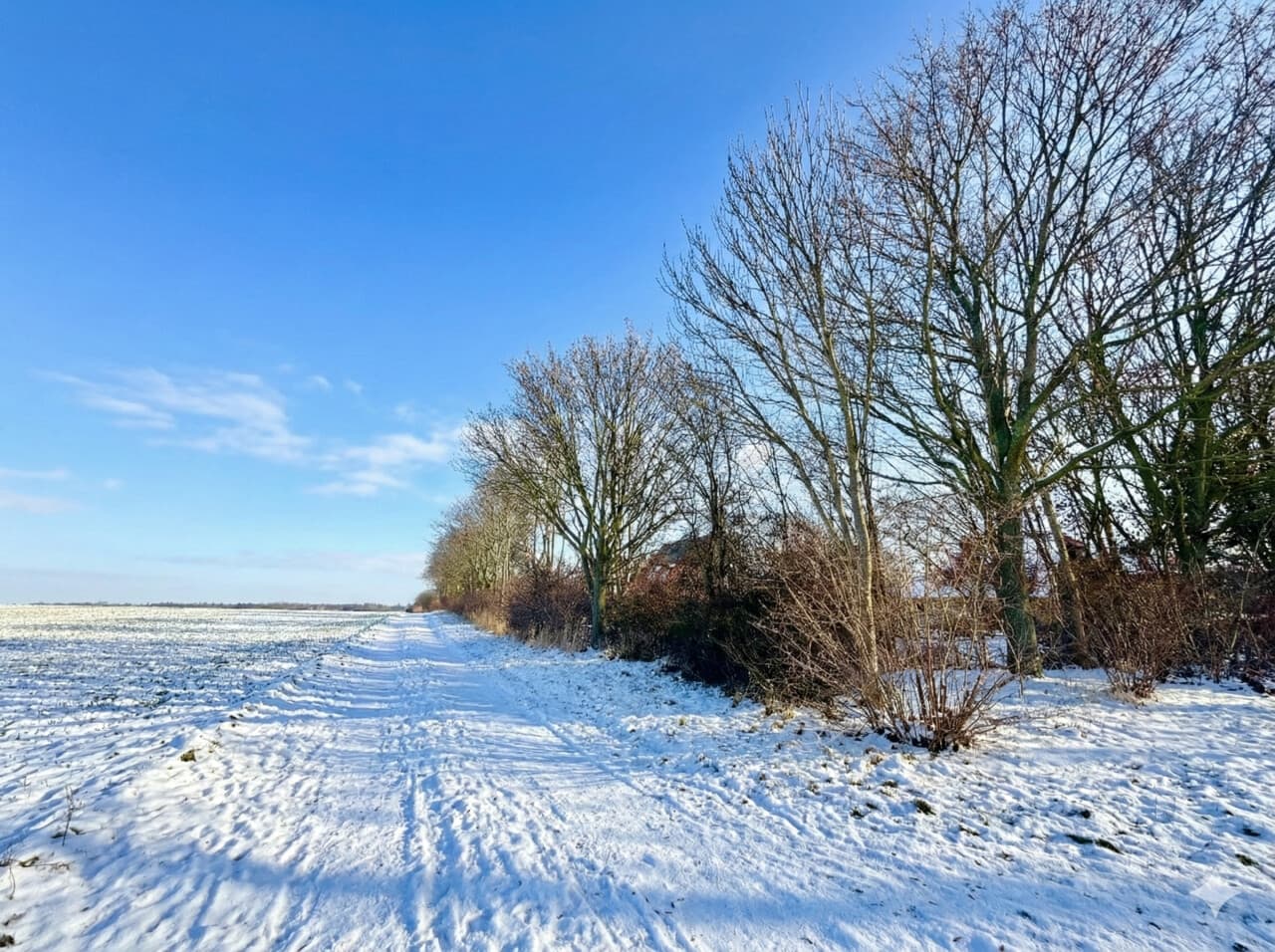 Wohngrundstück in Radeburg – Bild 2