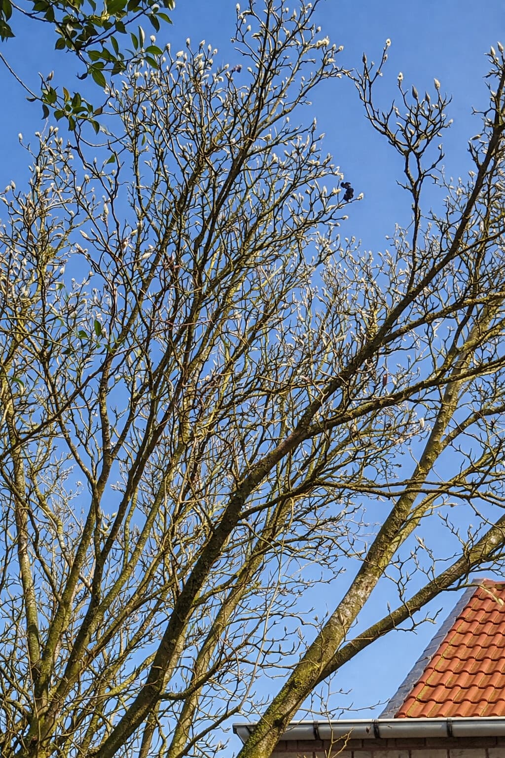 Einfamilienhaus in Hanstedt- Velgen – Bild 28