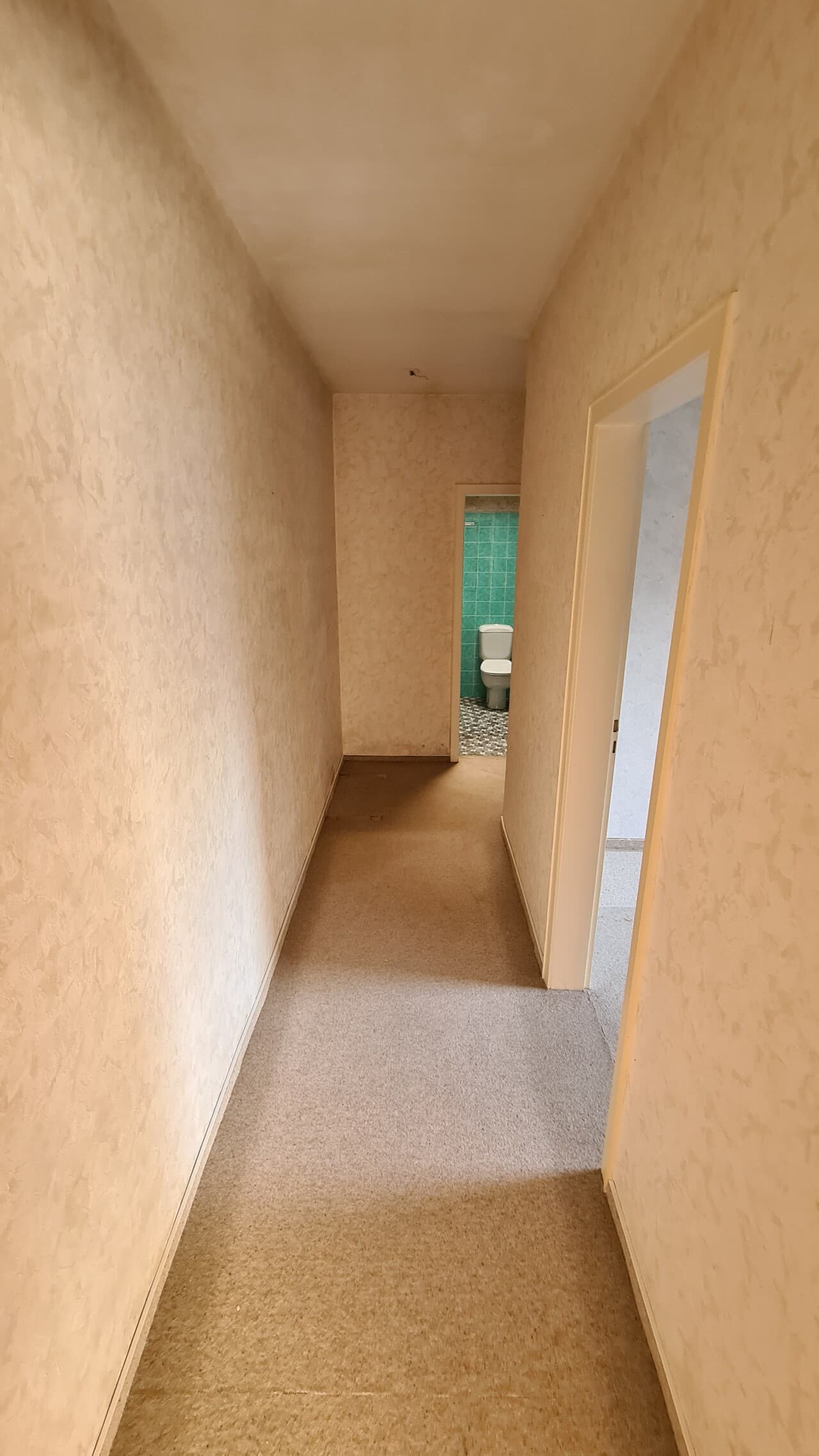 Bungalow in Köln – Bild 15