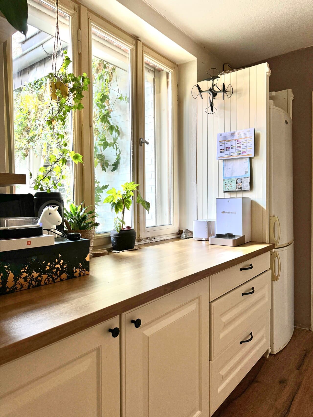 Einfamilienhaus in Selfkant – Bild 9