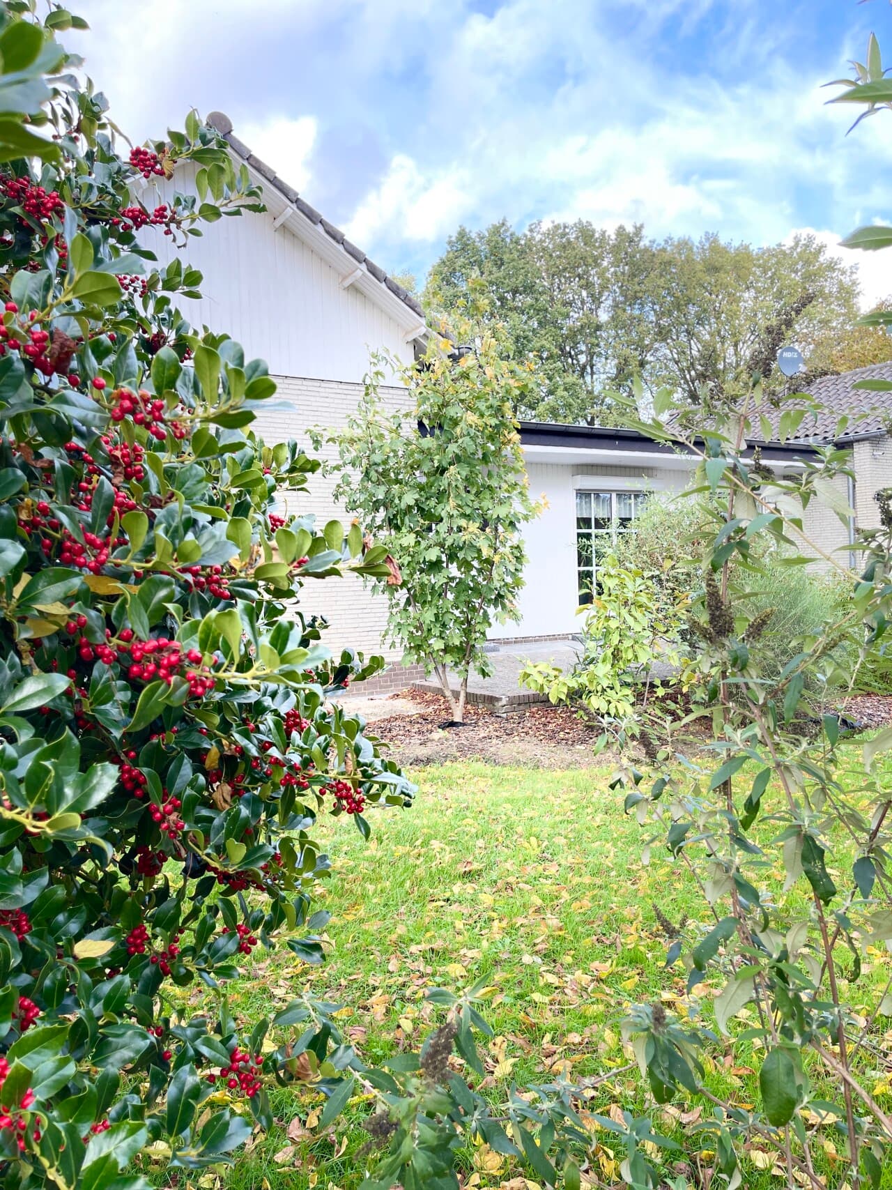 Bungalow in Selfkant – Bild 3
