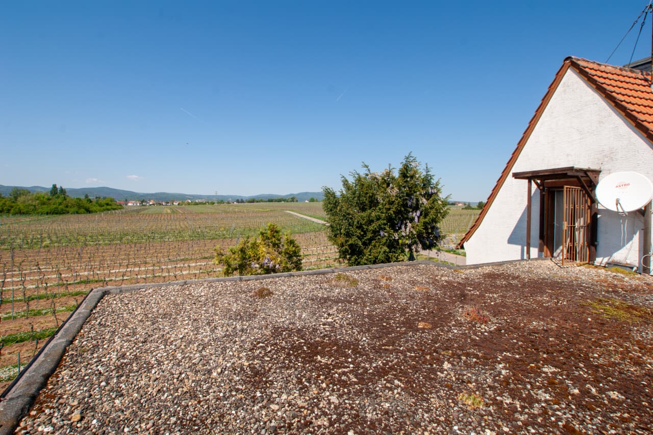 Einfamilienhaus in Gönnheim – Bild 20