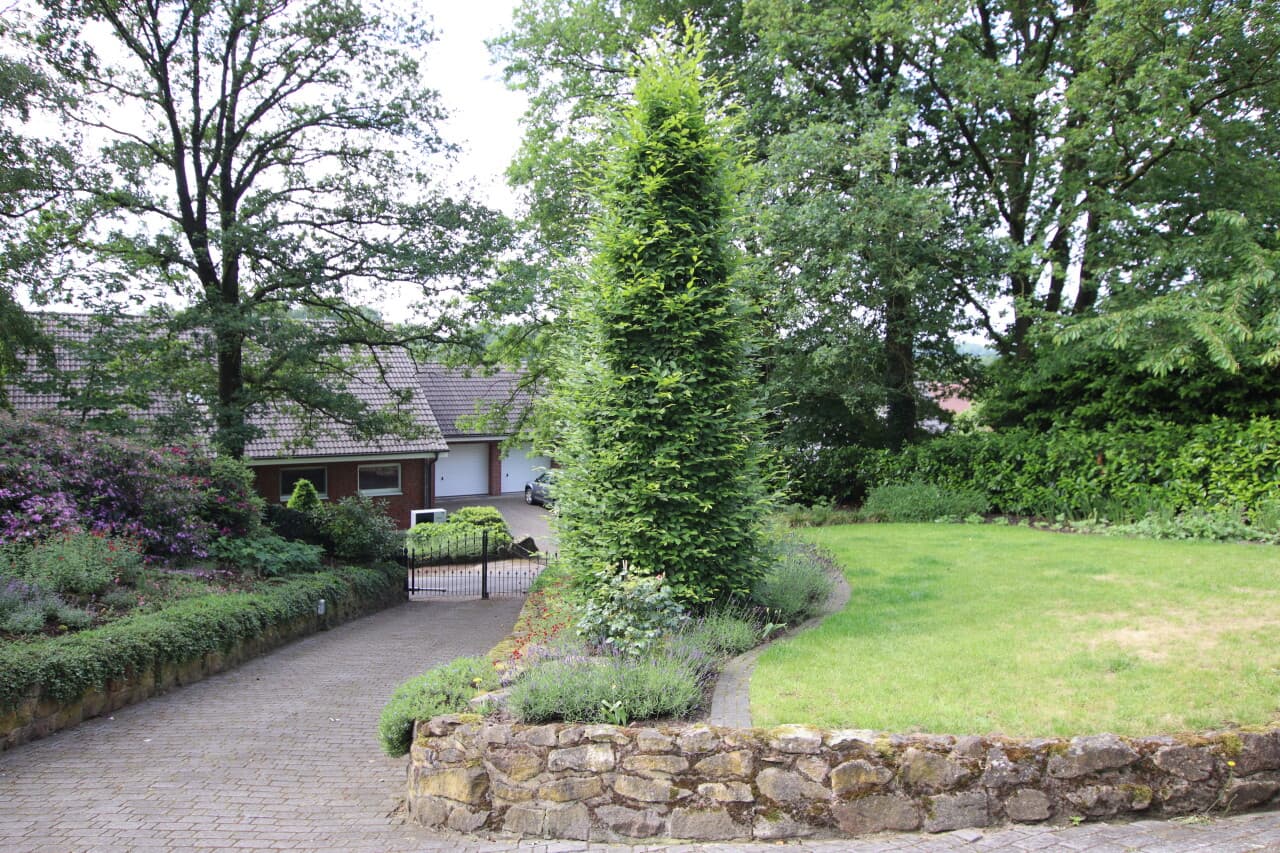Villa in Bad Bentheim – Bild 36