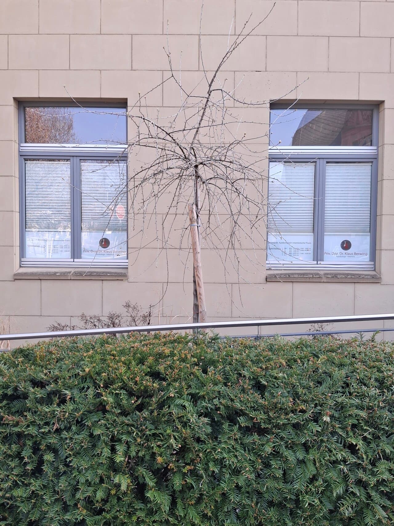 Praxisfläche in Bad Nauheim – Bild 2
