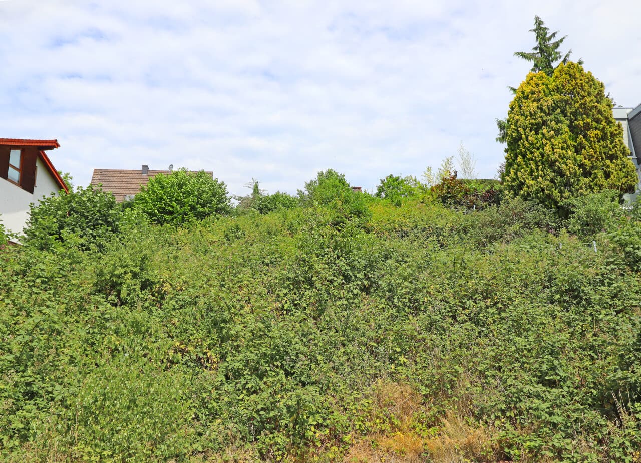 Wohngrundstück in Fischbachtal – Bild 4