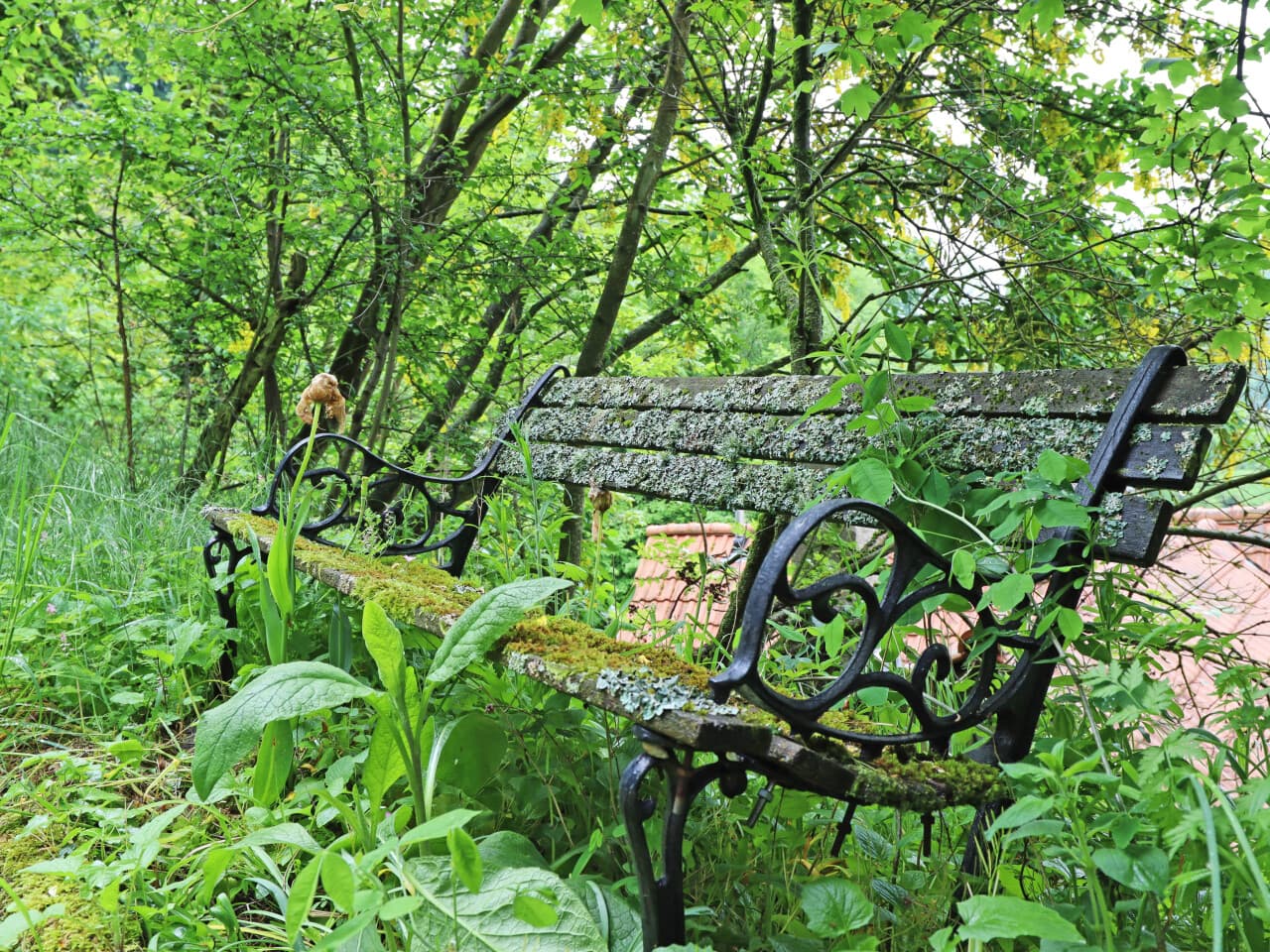 Zweifamilienhaus in Heppenheim – Bild 13