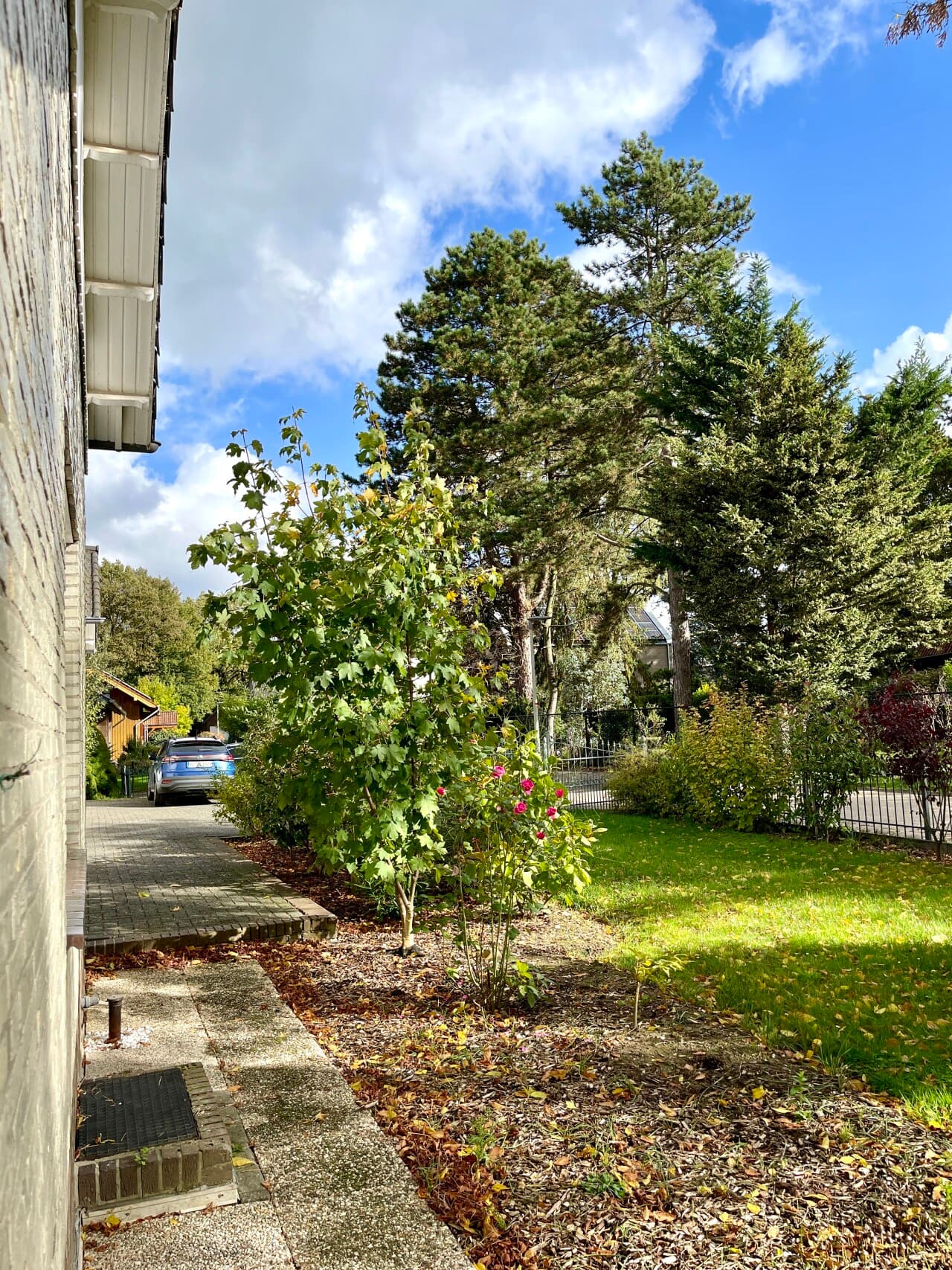 Bungalow in Selfkant – Bild 5