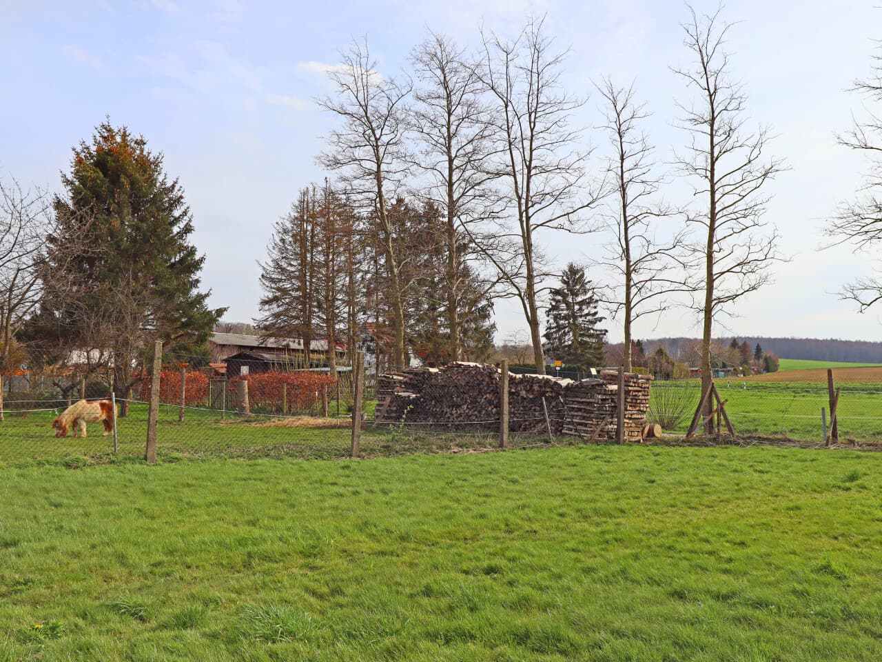 Einfamilienhaus in Ober-Ramstadt OT Rohrbach – Bild 10