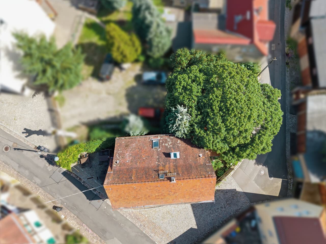 Etagenwohnung in Dresden – Bild 10