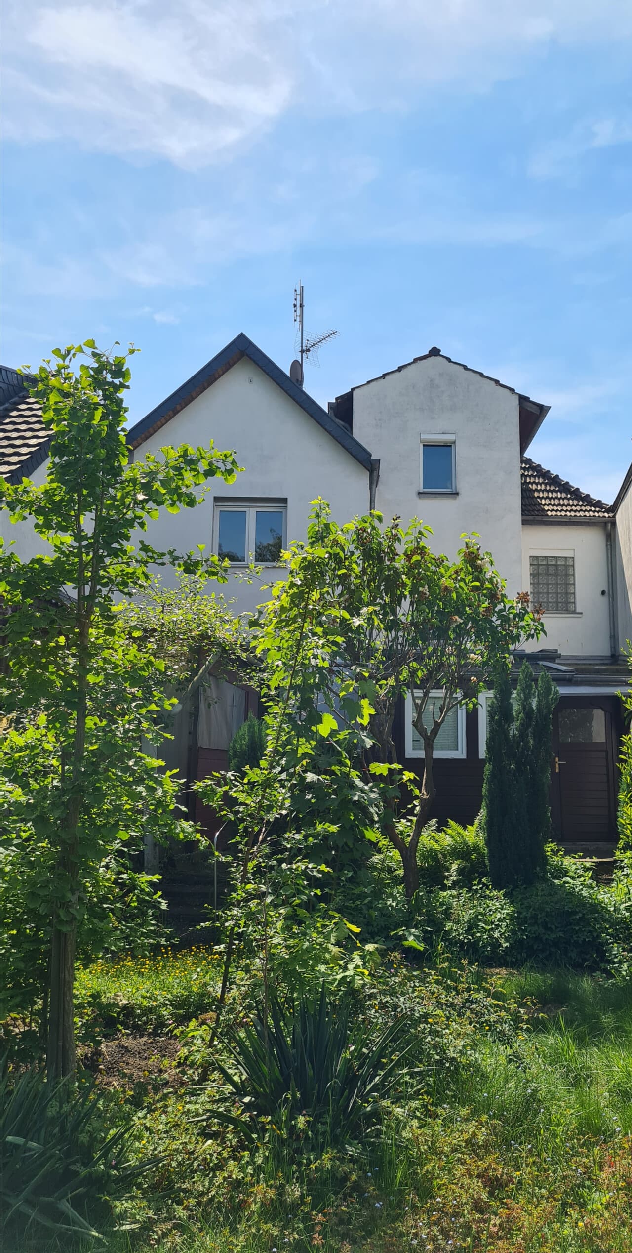 Einfamilienhaus in Wesseling – Bild 2
