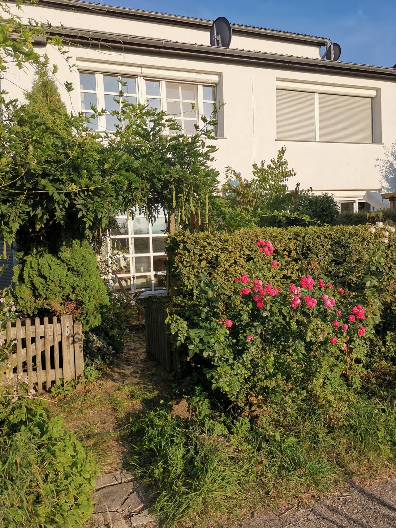Reihenmittelhaus in Reichelsheim – Bild 11