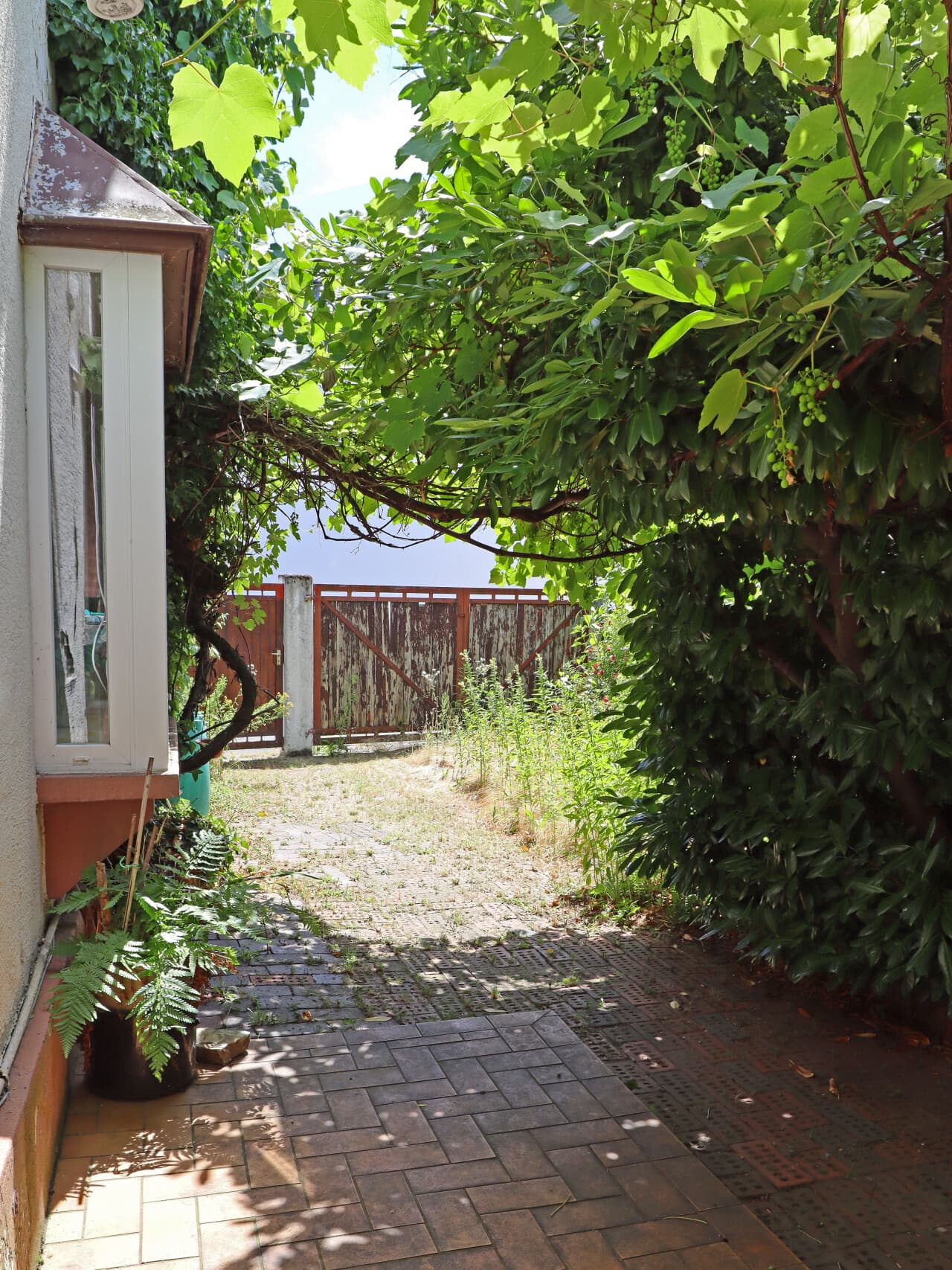 Einfamilienhaus in Darmstadt – Bild 11