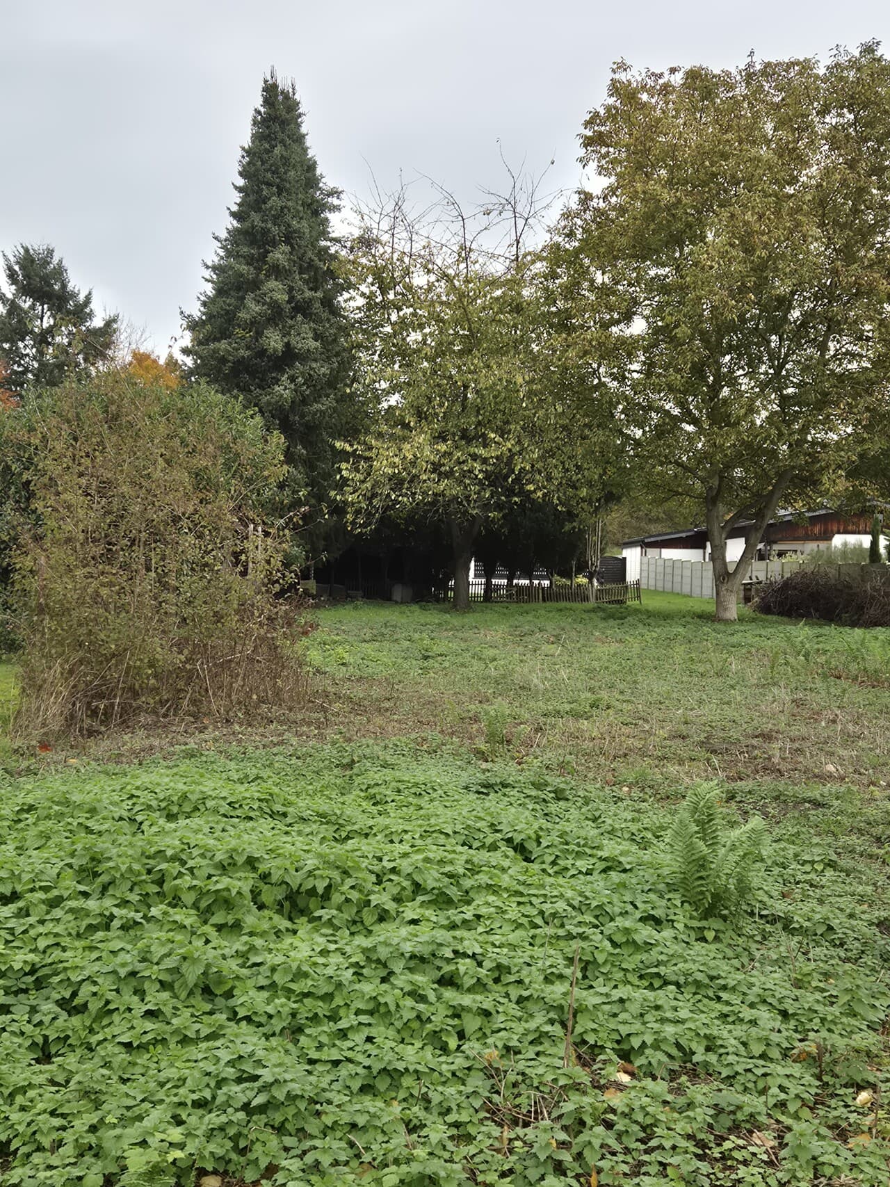 Wohngrundstück in Erftstadt – Bild 8