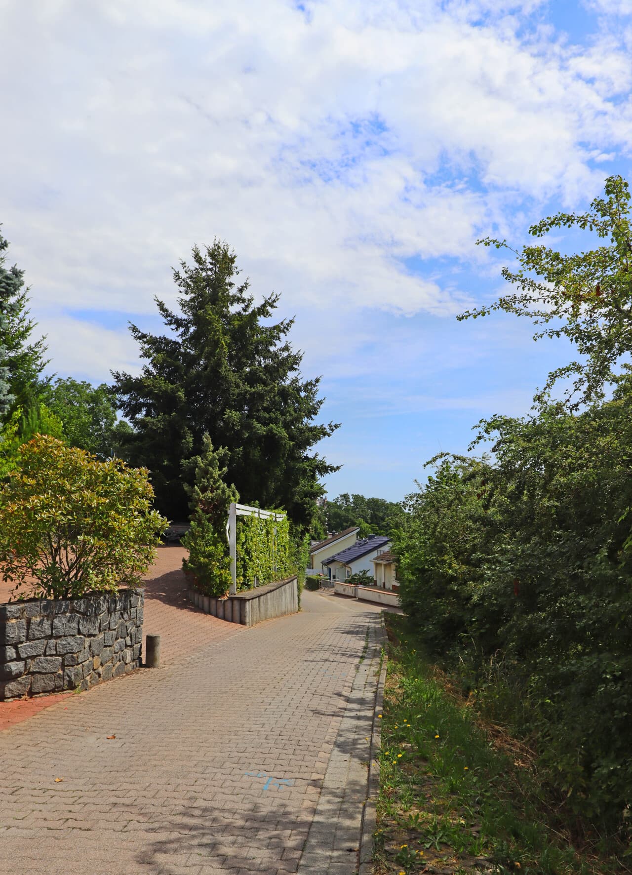 Wohngrundstück in Fischbachtal – Bild 5