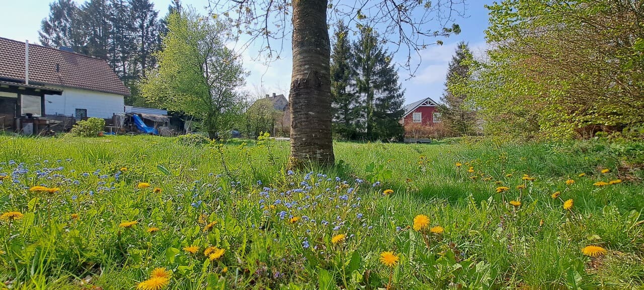 Einfamilienhaus in Eicherscheid – Bild 6