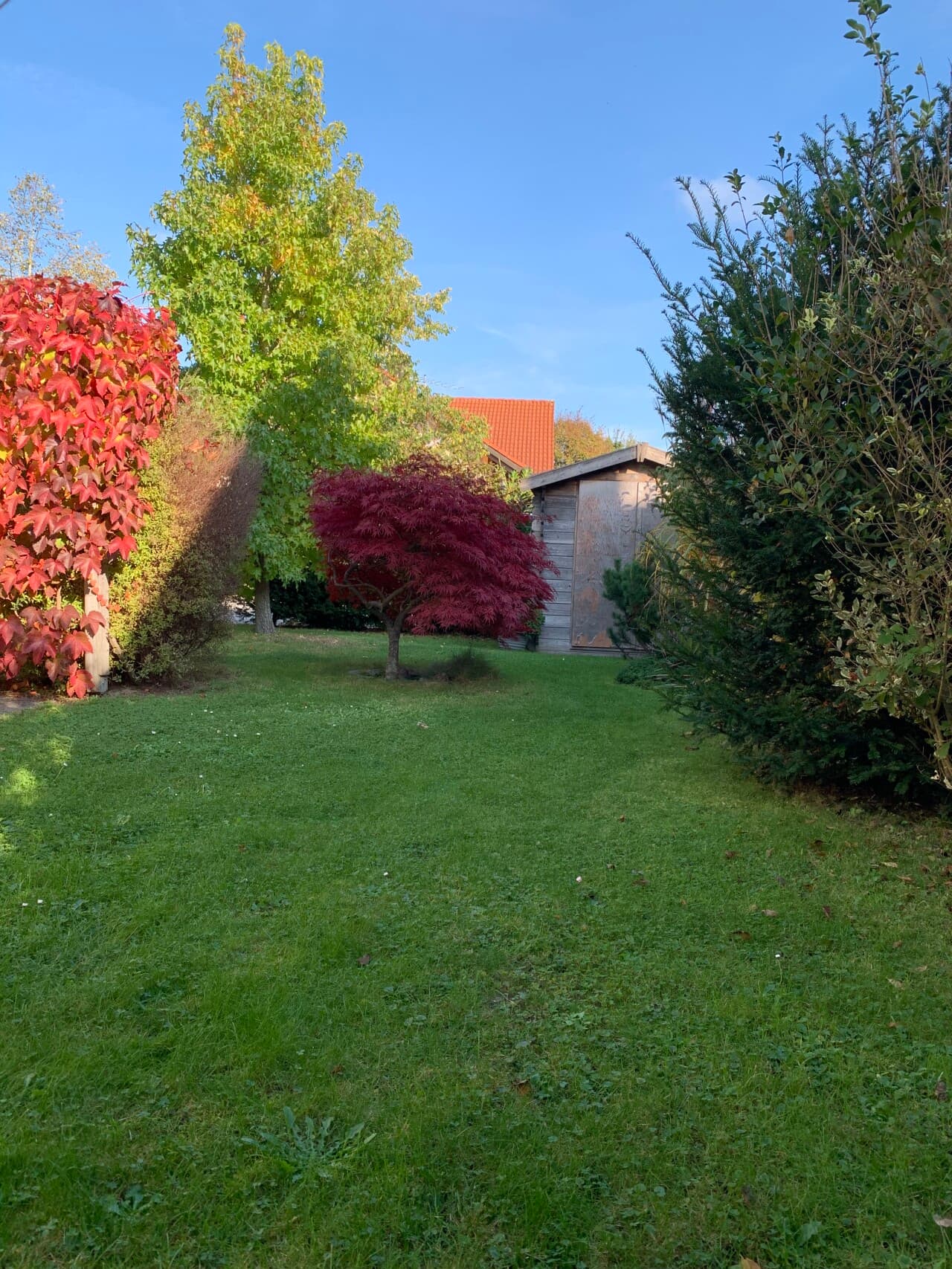 Doppelhaushälfte in Garching – Bild 14